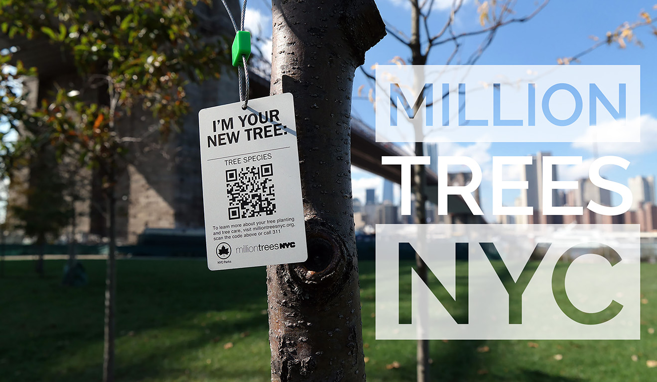 Million Trees NYC Blog Post Hero Image